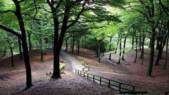 Tandle Hill Country Park